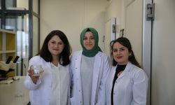 Niğde'de akademisyen doğal tohum kaplama malzemesi geliştirdi