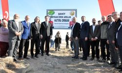 Orman gönüllüsü Bayram Eren Arslan adına hatıra ormanı oluşturuldu