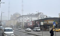 Sivas'ta sis etkili oldu