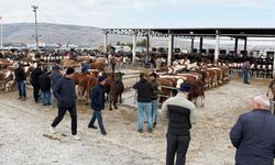 Sorgun'da hayvan pazarı yeniden açıldı