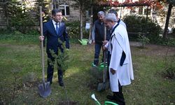 Tarım ve Orman Bakanı Yumaklı'dan vatandaşlara 'ağaçlandırma seferberliği' çağrısı: