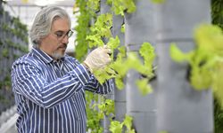 Topraksız dikey tarım uygulamaları enerjide tasarruf ve yüksek verimlilikle geleceğe umut oluyor