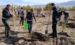 Ulaş ve Gemerek'te Milli Ağaçlandırma Günü'nde fidanlar toprakla buluşturuldu