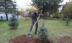 YÖK Başkanı Özvar, Milli Ağaçlandırma Günü dolayısıyla fidan dikti