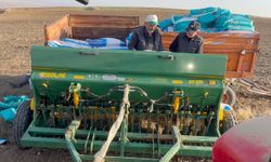 Yozgat'ta kuraklık nedeniyle buğday ekimi kasım ayına sarktı