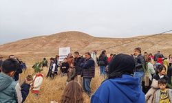 Zara'da ilkokul öğrencileri hatıra ormanı oluşturdu