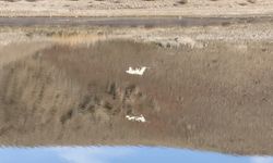 Avcı İHA TALAY, deniz testlerine hazırlanıyor