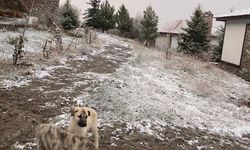 Beypazarı ilçesinin yüksek kesimleri beyaza büründü