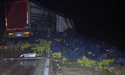 Beyşehir'de bariyere çarpan tırın sürücüsü yaralandı