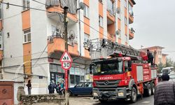 Beyşehir'de telefon direğinde mahsur kalan kediyi itfaiye kurtardı