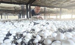 Beyşehir'den kısa kısa