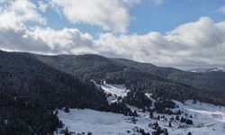 Çankırı'da beyaz örtüyle kaplanan ormanlık alanlar dron ile görüntülendi