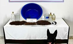 Çankırı'da düzenlenen uyuşturucu operasyonunda yabancı uyruklu 12 zanlı yakalandı