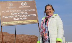 Çankırı'da zürafadan gergedana yüzlerce fosil bulunan alandan bu sezon 200 fosil çıkarıldı