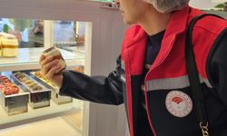 Eskişehir'de yılbaşı öncesinde gıda denetimleri yapıldı