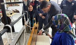 Kaymakam Akar, Boyalı Fengere Kadın Eli Tarımsal Kalkınma Kooperatifi'ni ziyaret etti