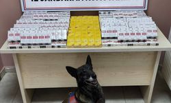 Kayseri'de 630 paket bandrolsüz kaçak sigara ele geçirildi