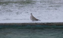 Kayseri'de kar yağışı etkili oldu