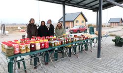 Kayseri'de Yediveren Kadın Girişimci Kooperatifi son hasadını yaptı