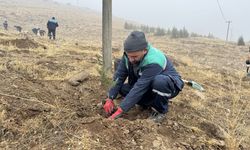 Kayseri'den kısa kısa