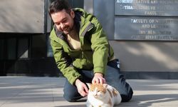 Kedilerin insanlarla iletişimi sahibinin cinsiyetine göre değişiklik gösterebiliyor