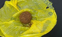 Kırşehir'de uyuşturucu operasyonlarında 4 zanlı yakalandı