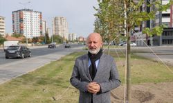 Kocasinan'da 11 yılda 1 milyon 67 bin fidan toprakla buluştu