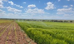 Konya Ovası'nda 'iklim dostu' tarım modeli hayata geçiriliyor