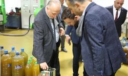 Sarıcakaya'da zeytin ve zeytinyağı üretimi artıyor