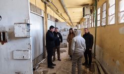 Suriye'de Esed rejiminin insan hakkı ihlalleri somut delillerle ortaya konuldu