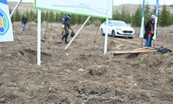 TUSAŞ şehidi Ekici anısına 500 fidan toprakla buluşturuldu