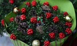 Yılbaşının simgelerinden 'kokina çiçeği' tezgahlarda alıcısını bekliyor