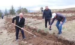 Yozgat'ta 1500 çam fidanı toprakla buluşturuldu