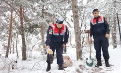 Yozgat'ta jandarma ekipleri yaban hayvanları için doğaya yem bıraktı