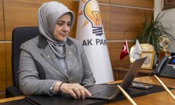 AK Parti Kadın Kolları Başkanı Ercan, AA'nın 'Yılın Kareleri' oylamasına katıldı