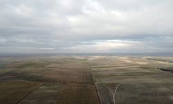 DSİ, Eskişehir ve Kütahya'da toplulaştırma çalışmalarına devam ediyor