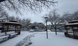 Karaman'da kar yağışı etkili oluyor