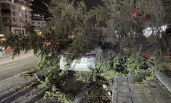 Kayseri'de kuvvetli rüzgarın etkisiyle devrilen ağaç otomobilin üzerine düştü