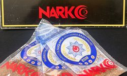 Kırşehir'de uyuşturucu operasyonlarında yakalanan 10 zanlıdan biri tutuklandı