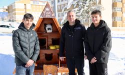 Sivas Belediyesi kedi evlerine mama bıraktı