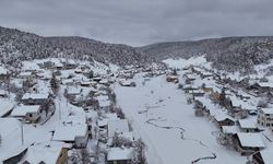 Sivas'ta çam ağaçlarıyla kaplı Eğriçimen Yaylası'nda kar kalınlığı 1 metreye ulaştı