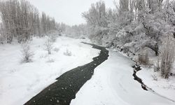 Sivas'ta kar yağışı etkili oluyor