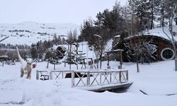 Sivas'ta kar yağışı ve soğuk hava etkili oluyor