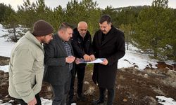 Suşehri'ndeki Karşıyaka Tabiat Parkı'nda iyileştirme çalışması yapılacak