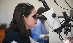 'Yapay Duyular' projesiyle hastaneye gitmeden beyin kanaması teşhisi yapılabilecek