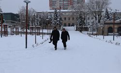 Yozgat'ta kar yağışı etkili oldu