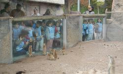 Hayvan refahını en üst seviyeye taşıyacak tesis tamamlanıyor