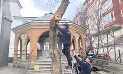 Akyurt'ta kuşlar için çeşitli yerlere yuva asıldı
