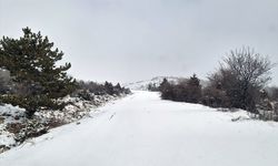 Beypazarı'nda kar yağışı etkisini sürdürüyor