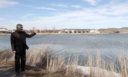 Eriyen kar suları kuruma tehlikesiyle karşı karşıya olan Ulaş Gölü'ne 'can suyu' oldu